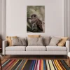 Barred Owl Portrait In Soft Forest Light